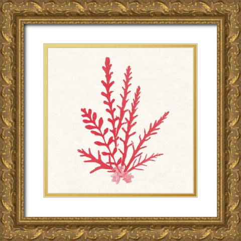 Pacific Sea Mosses III Red Gold Ornate Wood Framed Art Print with Double Matting by Wild Apple Portfolio