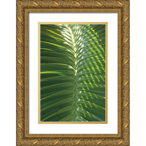 Palm Detail I Gold Ornate Wood Framed Art Print with Double Matting by Wild Apple Portfolio