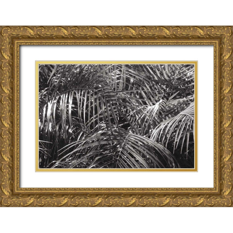 Tropical Fronds BW Gold Ornate Wood Framed Art Print with Double Matting by Wild Apple Portfolio
