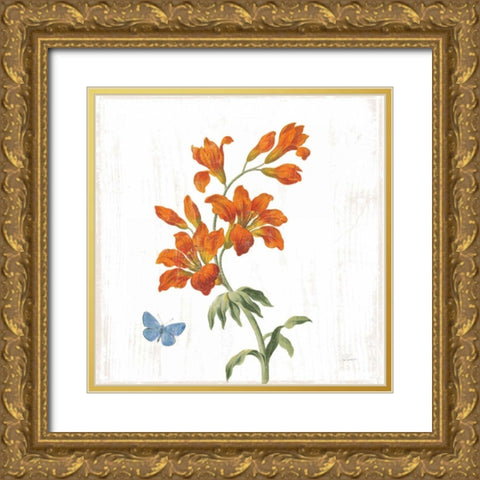 White Barn Flowers VII Sq Gold Ornate Wood Framed Art Print with Double Matting by Schlabach, Sue