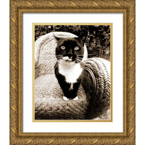 Kitty I Gold Ornate Wood Framed Art Print with Double Matting by Dratfield, Jim