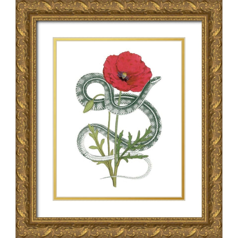 Natural Beauty I Gold Ornate Wood Framed Art Print with Double Matting by Wild Apple Portfolio