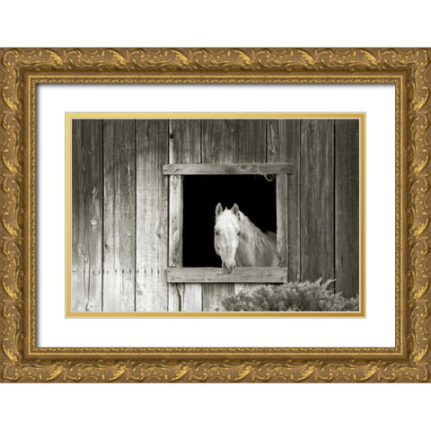 Welcome Mare Gold Ornate Wood Framed Art Print with Double Matting by Goldstein, Ed