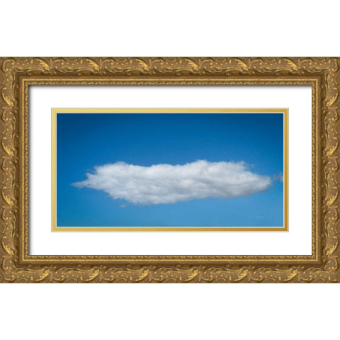 Sky Floating Gold Ornate Wood Framed Art Print with Double Matting by Goldstein, Ed