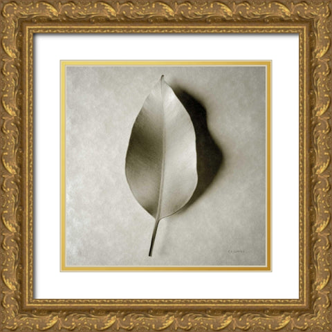 One Leaf Gold Ornate Wood Framed Art Print with Double Matting by Goldstein, Ed