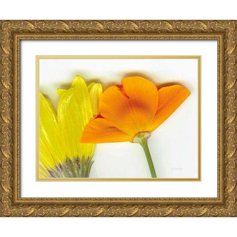 Flower Friends Gold Ornate Wood Framed Art Print with Double Matting by Goldstein, Ed