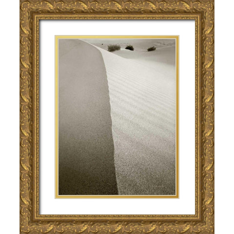 Desert Edge Gold Ornate Wood Framed Art Print with Double Matting by Goldstein, Ed