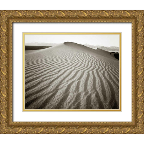 Desert Dunes Gold Ornate Wood Framed Art Print with Double Matting by Goldstein, Ed
