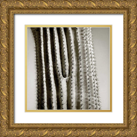 Cactus Star Gold Ornate Wood Framed Art Print with Double Matting by Goldstein, Ed