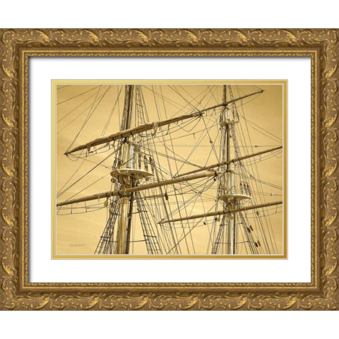 Crows Nest Gold Ornate Wood Framed Art Print with Double Matting by Goldstein, Ed