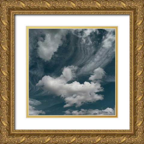 Clouds IV Gold Ornate Wood Framed Art Print with Double Matting by Eichman, Andre