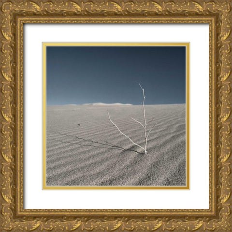 Sand Dunes I Gold Ornate Wood Framed Art Print with Double Matting by Eichman, Andre