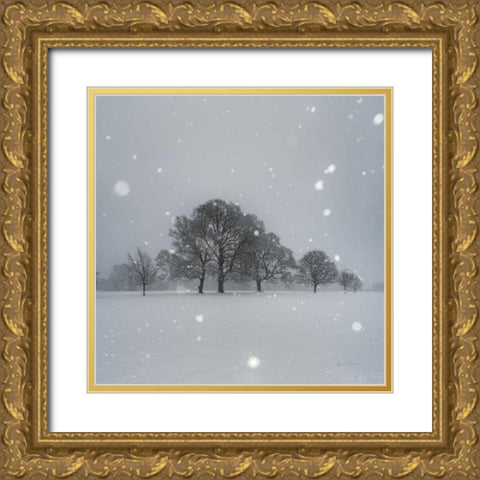 Trees in Snow Gold Ornate Wood Framed Art Print with Double Matting by Eichman, Andre