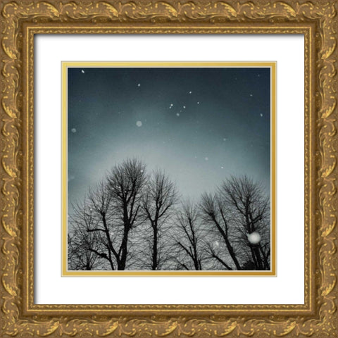 Winter Sky Gold Ornate Wood Framed Art Print with Double Matting by Eichman, Andre