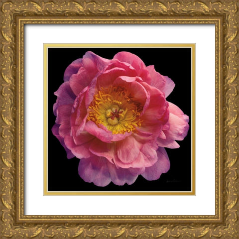 Floral Majesty II Gold Ornate Wood Framed Art Print with Double Matting by Eichman, Andre