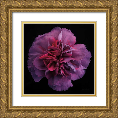 Floral Majesty IV Gold Ornate Wood Framed Art Print with Double Matting by Eichman, Andre