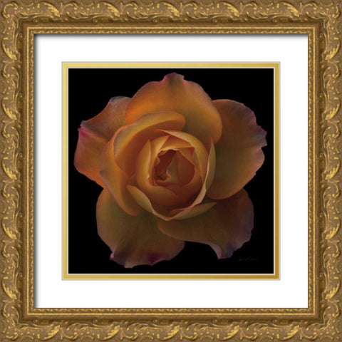 Floral Majesty V Gold Ornate Wood Framed Art Print with Double Matting by Eichman, Andre
