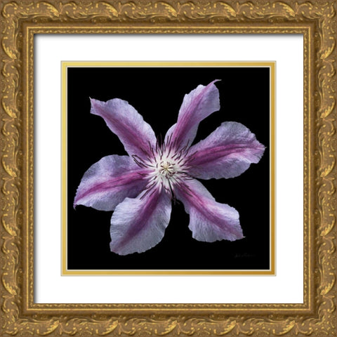 Floral Majesty VI Gold Ornate Wood Framed Art Print with Double Matting by Eichman, Andre