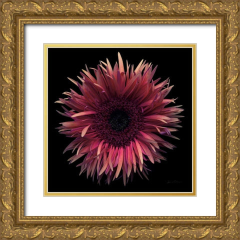 Floral Majesty IX Gold Ornate Wood Framed Art Print with Double Matting by Eichman, Andre