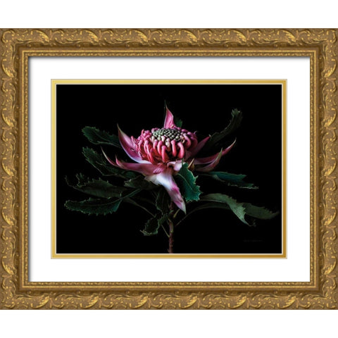 Salmon Waratah I Gold Ornate Wood Framed Art Print with Double Matting by Catterall, Elise