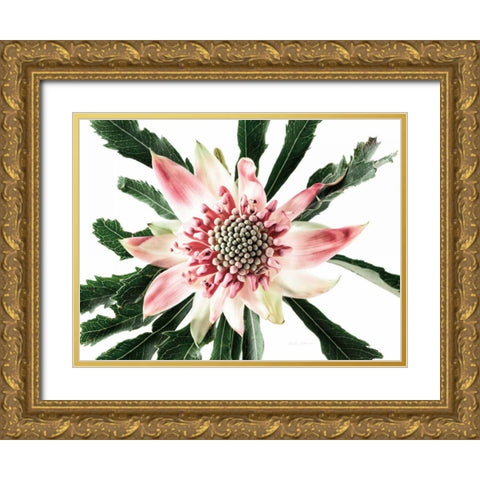 Salmon Waratah III Gold Ornate Wood Framed Art Print with Double Matting by Catterall, Elise