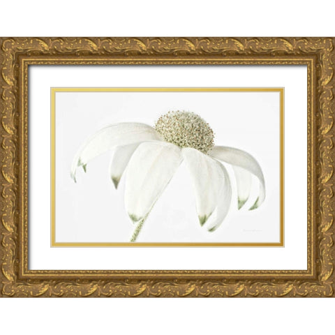 Flannel Flower Gold Ornate Wood Framed Art Print with Double Matting by Catterall, Elise