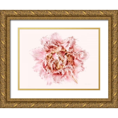 Pink Fringed Tulip Gold Ornate Wood Framed Art Print with Double Matting by Catterall, Elise
