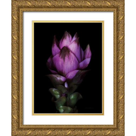 Siam Tulip Gold Ornate Wood Framed Art Print with Double Matting by Catterall, Elise