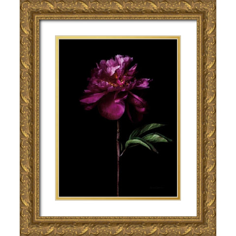 Peony Portrait Gold Ornate Wood Framed Art Print with Double Matting by Catterall, Elise