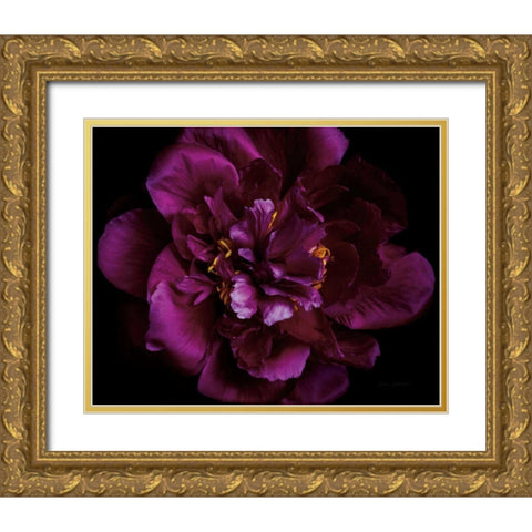 Vivid Dark Peony Gold Ornate Wood Framed Art Print with Double Matting by Catterall, Elise