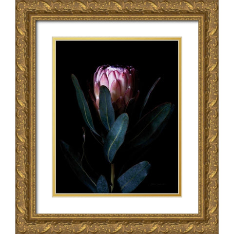 Protea Portrait Gold Ornate Wood Framed Art Print with Double Matting by Catterall, Elise