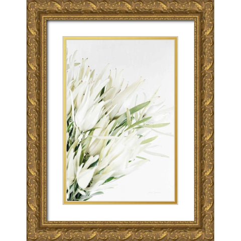 Leucadendron Gold Ornate Wood Framed Art Print with Double Matting by Catterall, Elise