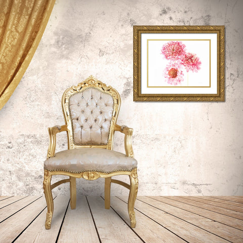 Pink Scabiosa Trio Gold Ornate Wood Framed Art Print with Double Matting by Catterall, Elise