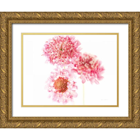 Pink Scabiosa Trio Gold Ornate Wood Framed Art Print with Double Matting by Catterall, Elise