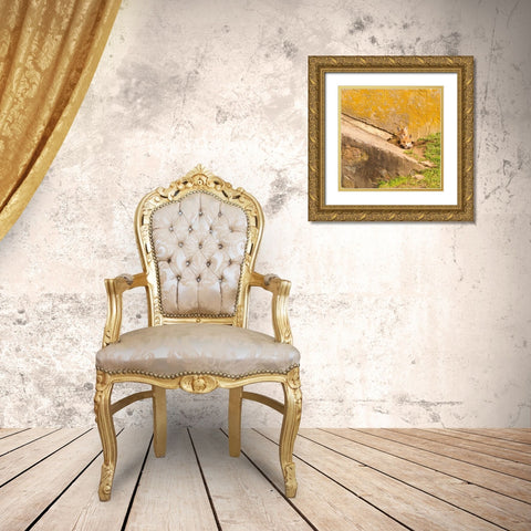 fox Cubs II Gold Ornate Wood Framed Art Print with Double Matting by Aledanda