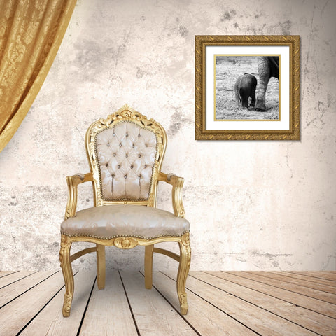 Mama and Baby Elephant II Gold Ornate Wood Framed Art Print with Double Matting by Aledanda