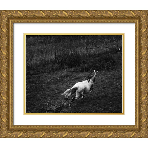 Running Horse Gold Ornate Wood Framed Art Print with Double Matting by Aledanda