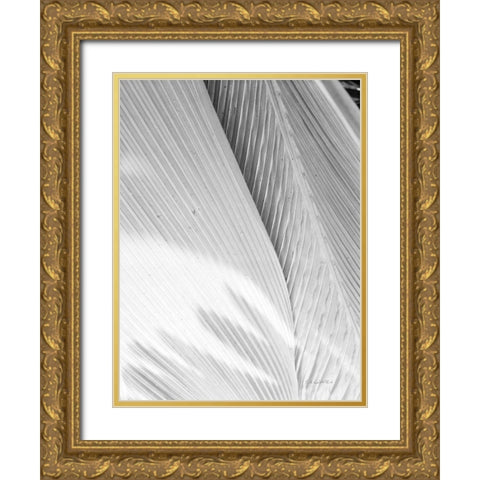 Leaf Abstract I Gold Ornate Wood Framed Art Print with Double Matting by Goldstein, Ed