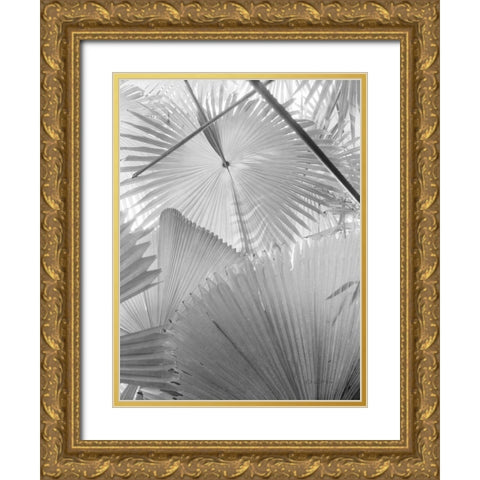 Leaf Abstract II Gold Ornate Wood Framed Art Print with Double Matting by Goldstein, Ed