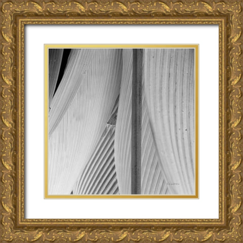 Leaf Abstract IV Gold Ornate Wood Framed Art Print with Double Matting by Goldstein, Ed