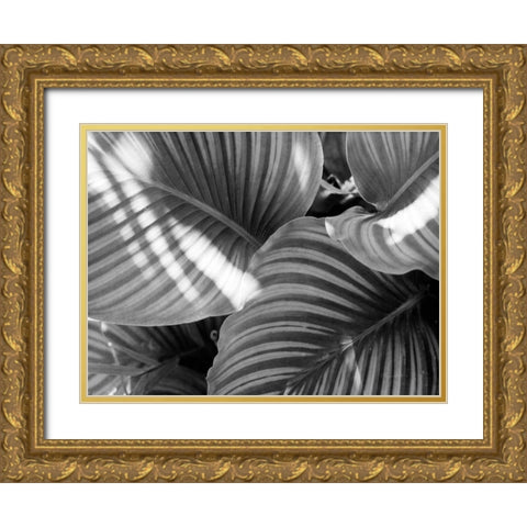 Leaf Abstract V Gold Ornate Wood Framed Art Print with Double Matting by Goldstein, Ed