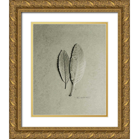 Serrated Duo Gold Ornate Wood Framed Art Print with Double Matting by Goldstein, Ed