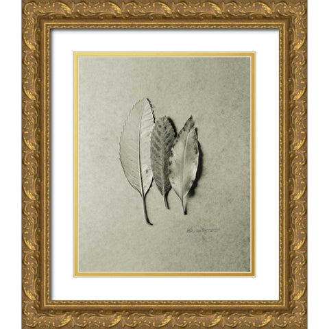 Serrated Trio Gold Ornate Wood Framed Art Print with Double Matting by Goldstein, Ed