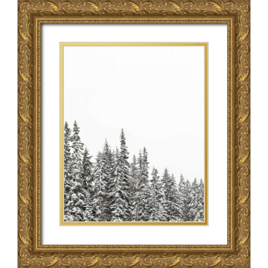 Perspective Image