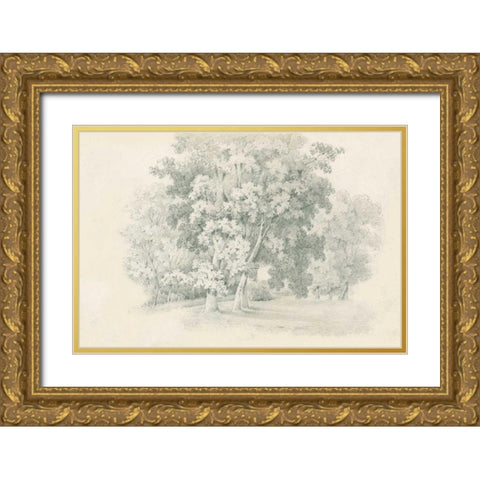 Edge of the Woods Sketch Gold Ornate Wood Framed Art Print with Double Matting by Wild Apple Portfolio