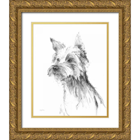 Yorkshire Terrier Sketch Gold Ornate Wood Framed Art Print with Double Matting by Tillmon, Avery