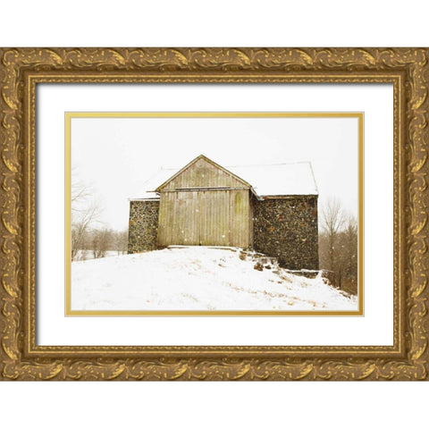 Majestic in the Snow Gold Ornate Wood Framed Art Print with Double Matting by Aledanda