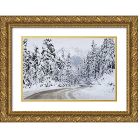 Mount Baker Highway I Gold Ornate Wood Framed Art Print with Double Matting by Majchrowicz, Alan