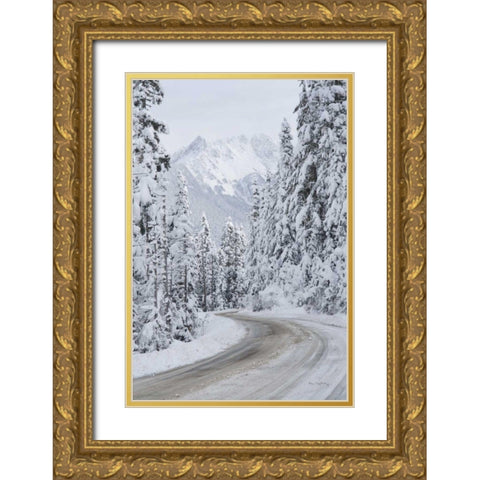 Mount Baker Highway II Gold Ornate Wood Framed Art Print with Double Matting by Majchrowicz, Alan