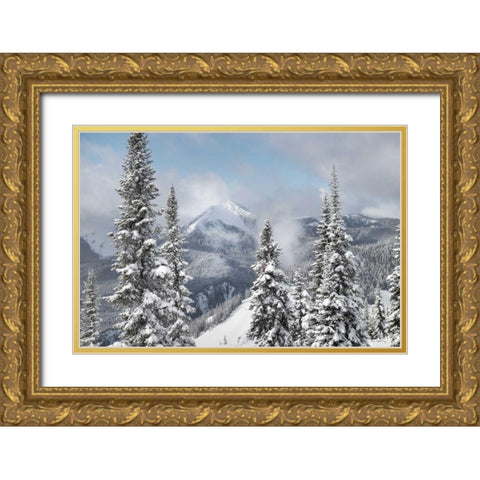 North Cascades in Winter I Gold Ornate Wood Framed Art Print with Double Matting by Majchrowicz, Alan